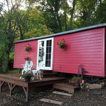 Borthwickbrae Shepherd'S Hut 하윅 외부 사진